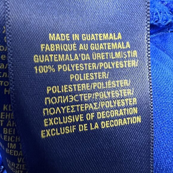 Polo Ralph Lauren Big Pony Logo ‎Hoodie Boys XL Pullover Blue Neon Preppy Fall - Picture 12 of 13